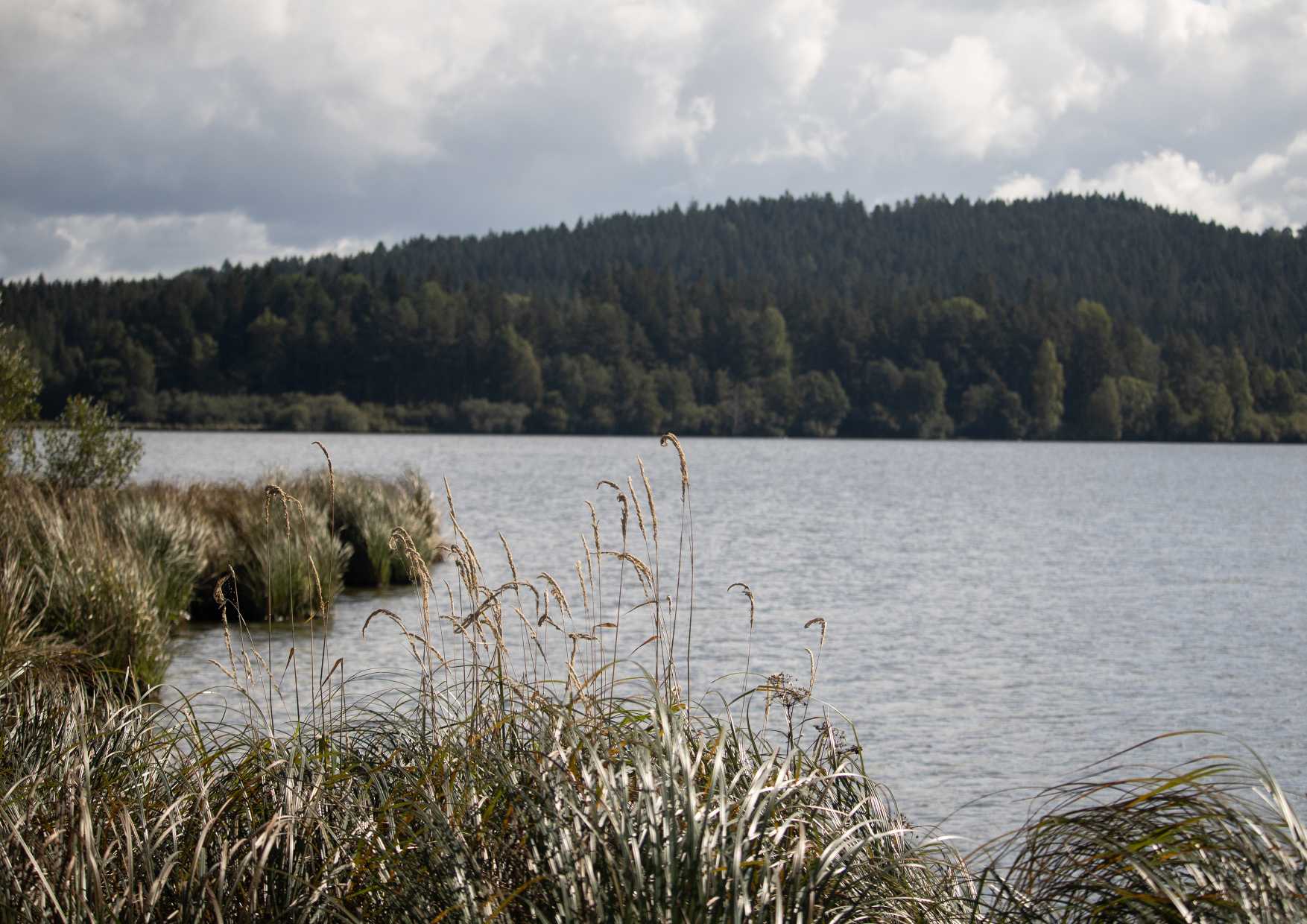 2023 Photo 21